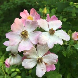 Meet your Posher, Kathryn